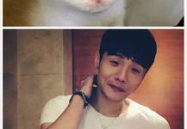 喵星娱乐吃瓜群众是谁,揭秘“吃瓜群众”背后的神秘力量