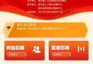 公共招聘网官网,一站式求职服务平台深度解析