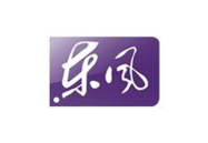 东风卫视直播,回顾与展望