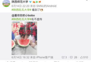 娱乐吃瓜酱改同城,同城热点一网打尽