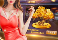 番茄娱乐咖,揭秘娱乐圈幕后故事，带你领略明星风采