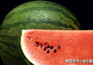 娱乐吃瓜酱西瓜,揭秘娱乐圈那些鲜为人知的瓜皮故事