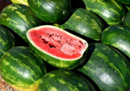 娱乐吃瓜视频背景图片,背景图片背后的故事