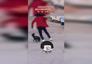 娱乐崽吃瓜,揭秘娱乐圈背后的那些事儿